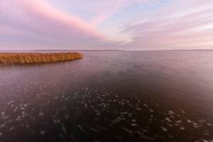 Germany, Mecklenburg-Western Pomerania, Darss, Dändorf, view on Bodden in the evening Germany, Mecklenburg-Western Pomerania, Darss, Dändorf, view on Bodden in the evening